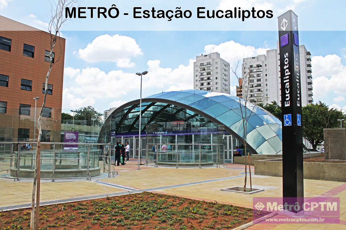 eucaliptos0203-077 1 .jpg